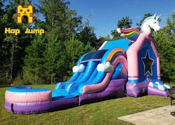 Crianças combinados secas molhadas comerciais combinados personalizadas Jumper Jumping Slide Bounce House do leão-de-chácara inflável para a venda