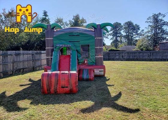 Leão-de-chácara comercial de Inflatables das crianças do quintal exterior combinado inflável do leão-de-chácara